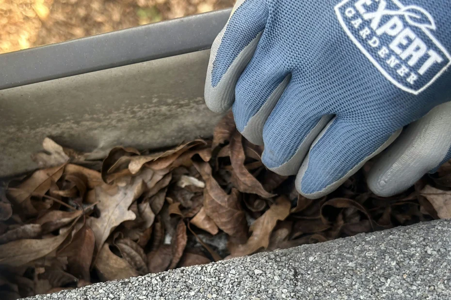 Gutter Cleaning White House