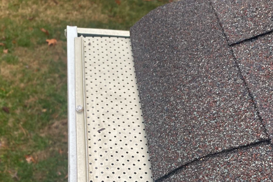 White House Gutter Cleaning